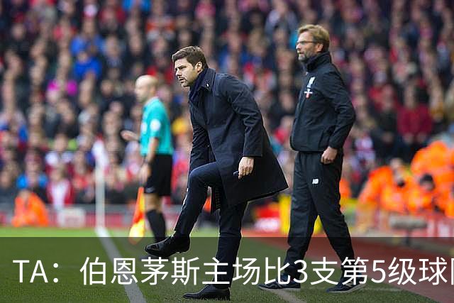 TA：伯恩茅斯主场比3支第5级球队还小，伊劳拉如今的压力远超从前